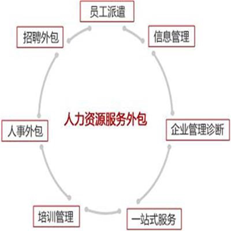 人才测评网官网入口在哪里？企业如何高效进行招聘与选拔